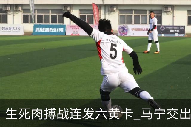生死肉搏战连发六黄卡 马宁交出世界杯主哨首秀答卷